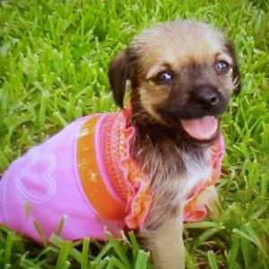 Meet your Posher, Stacy